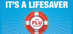  HSE Information on the flu vaccination for children