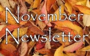 November 2021 Newsletter